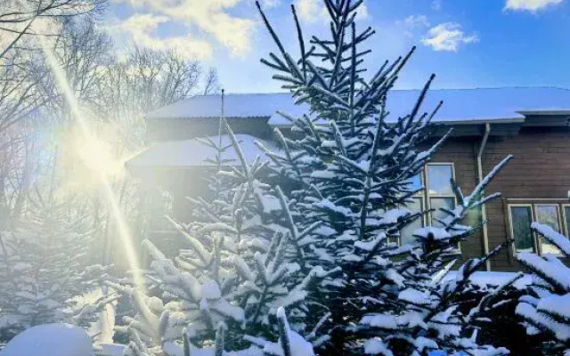 ChangBai Mountain Pine&Birch Villa