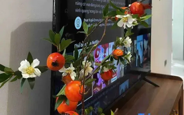 OH Trendy homes Ly Thuong Kiet