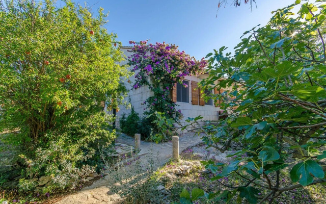 House Green Oases in Center