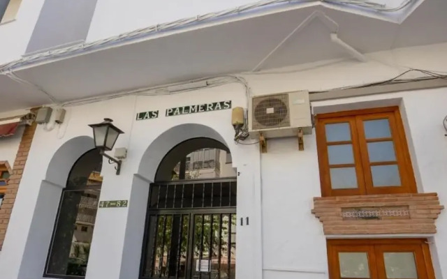 Palmeras 43 Menyber