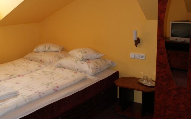Hotel Palota City
