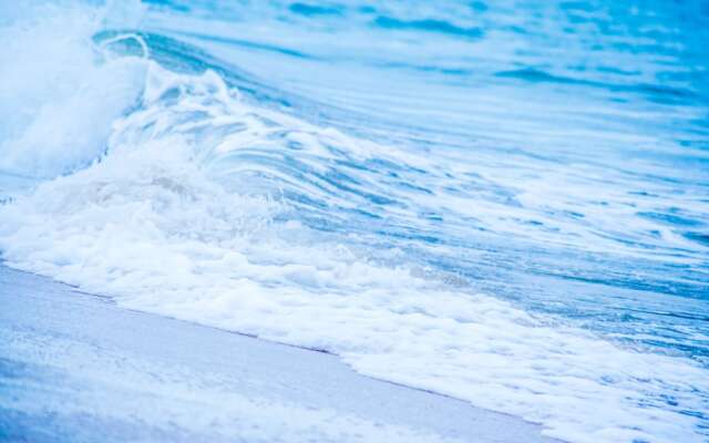 Ocean Wind Beach Resort