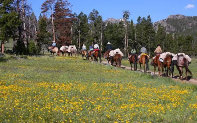 Allens Diamond 4 Ranch