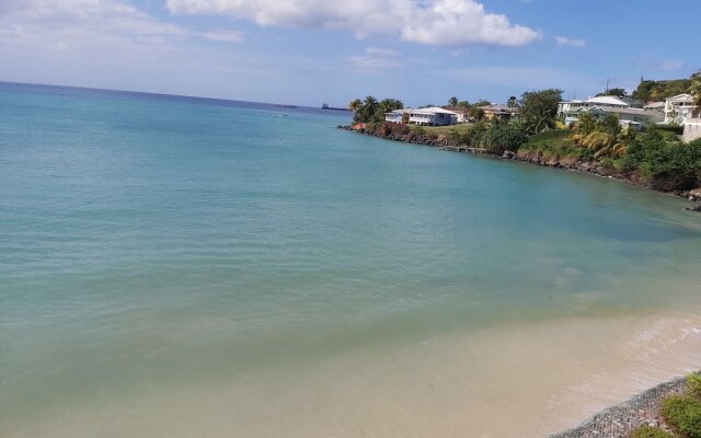 Grand Anse Beach Palace