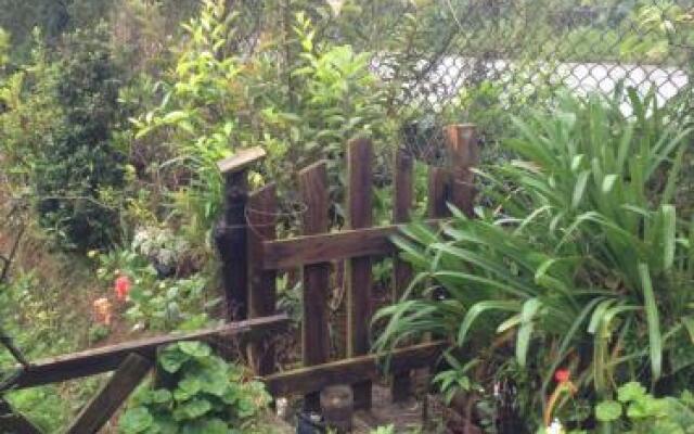 Lake & lake guest house