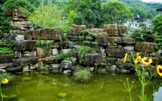 Selenium Tea Ecological Garden