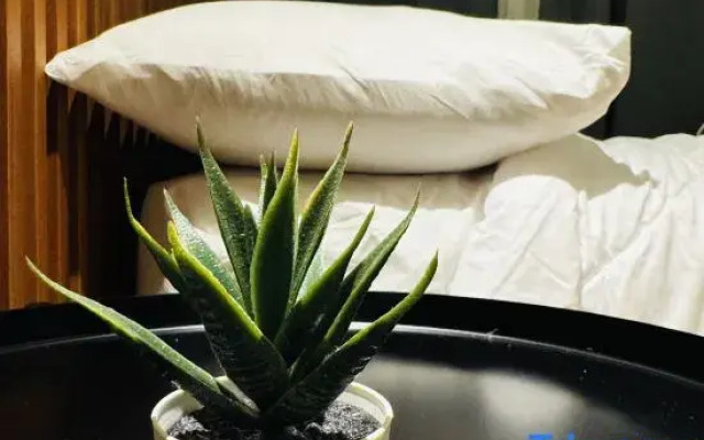 Solana Staycation Suites at Shore 3 Residence