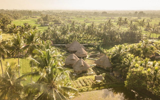 Mana Earthly Paradise