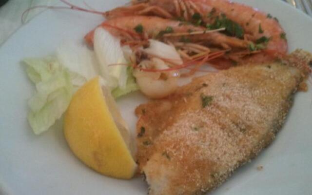 Agriturismo All Paradise