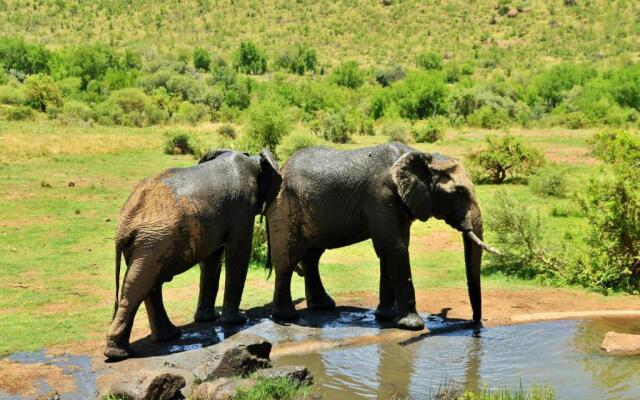 Kwa Maritane Bush Lodge Pilanesburg