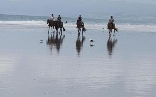 Ridge Haven Accommodation