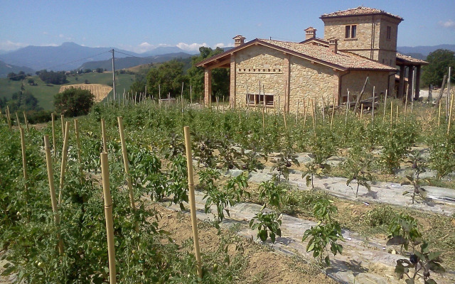 Agriturismo Il Filare