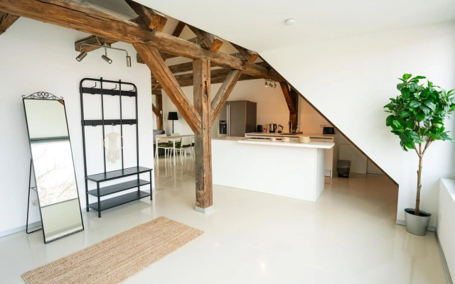 Vienna Living Apartments - Berggasse