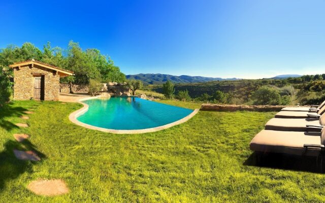 Wild Boar Mountain - France