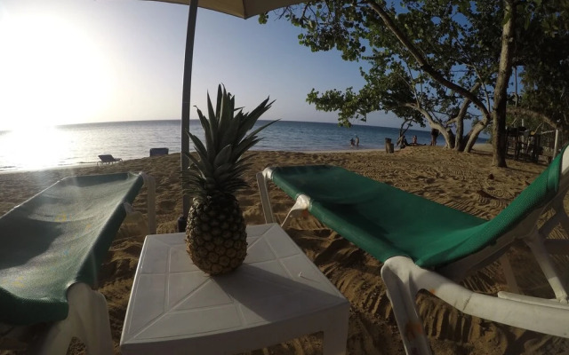 Afreeka Beach Hostel & Music Bar