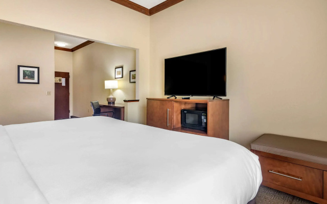 Comfort Inn & Suites Statesboro - University Area