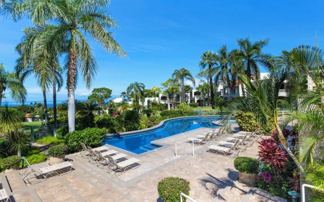 Palms at Wailea 2108