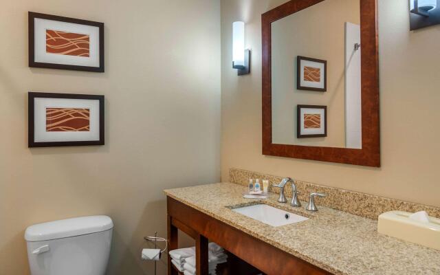 Comfort Inn South Chesterfield - Colonial Heights