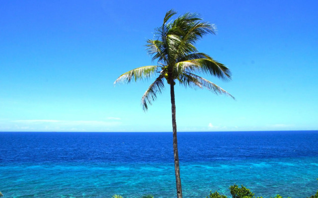 Blue Star Dive & Resort