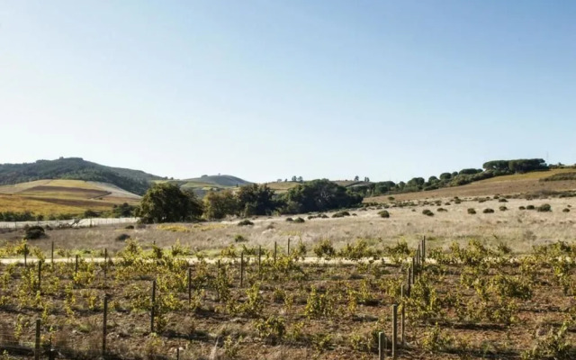 Gilga Wine Guest House