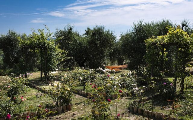 Orvieto Aroma Rooms 2