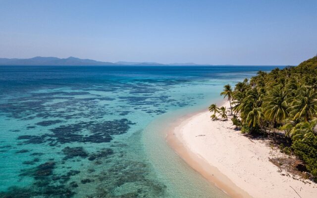 Qi Palawan