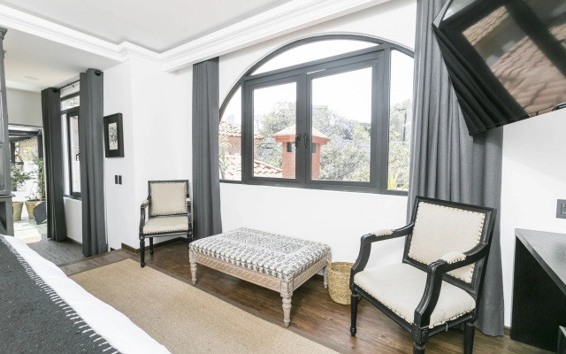 Orchid House Mexico City