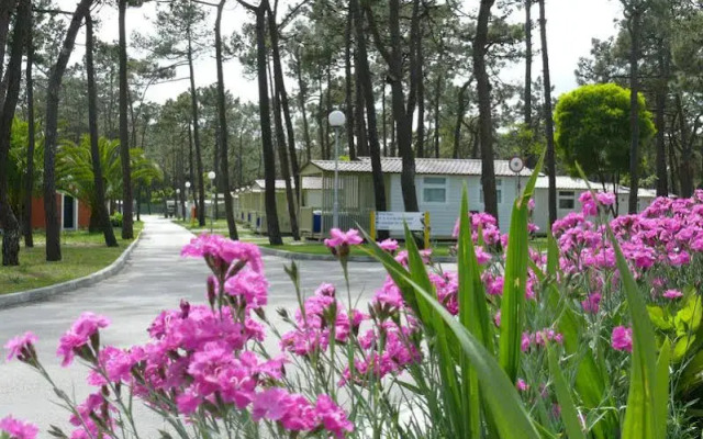 Parque de Campismo Orbitur Gala