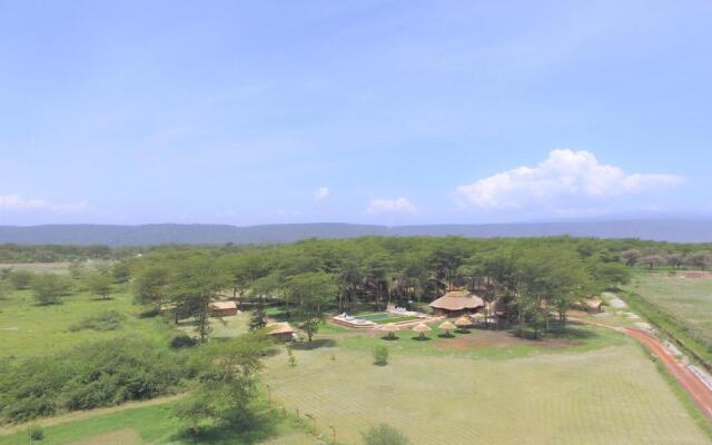 Africa Safari Lake Manyara