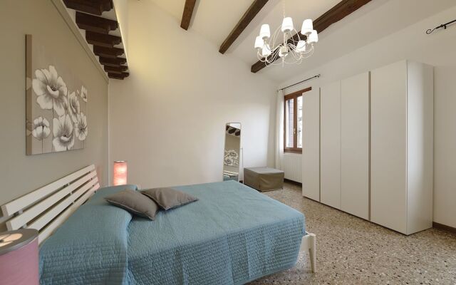Venier 6