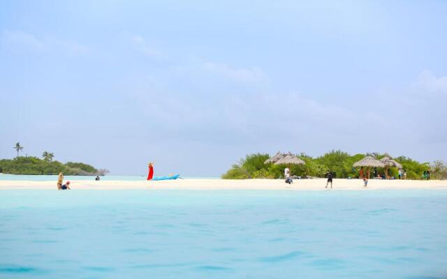 Quicksand Rasdhoo