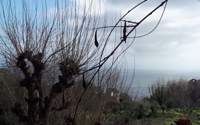 Marechiaro15