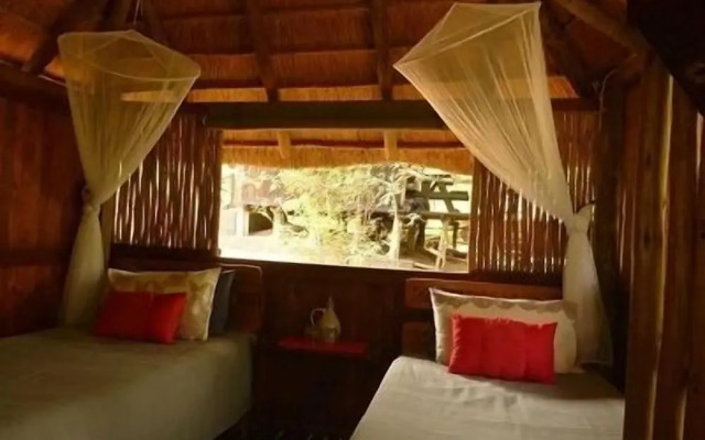 Offbeat Safaris