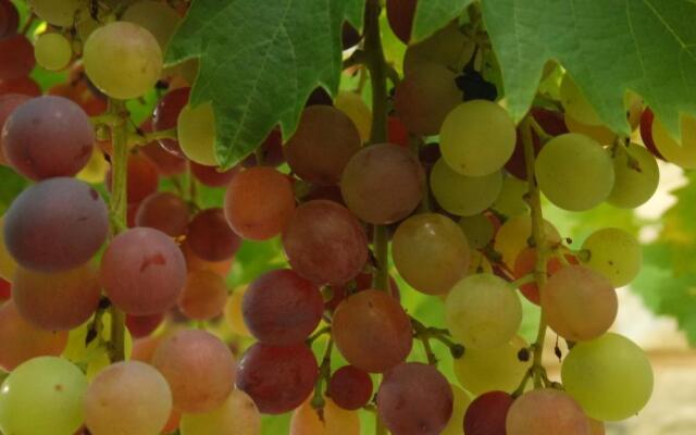 Le Balcon Des Jasses