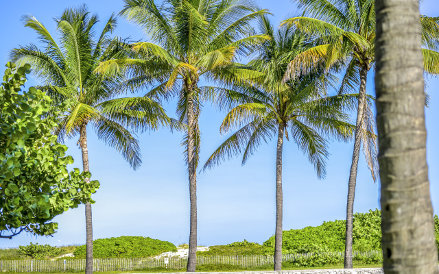 Hilton Vacation Club Crescent on South Beach Miami