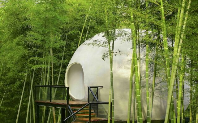 Planet Zero Retreat