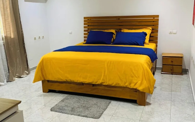 The Penthouse Essentials