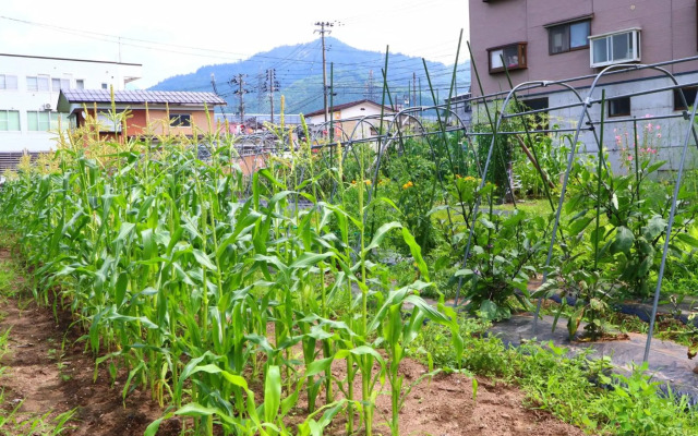 Takanoya