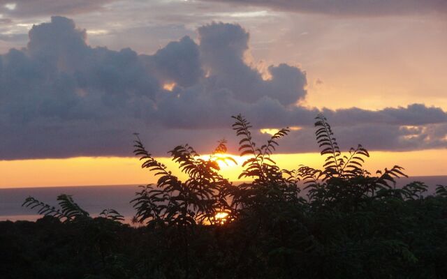 The Nest Tobago Apartments