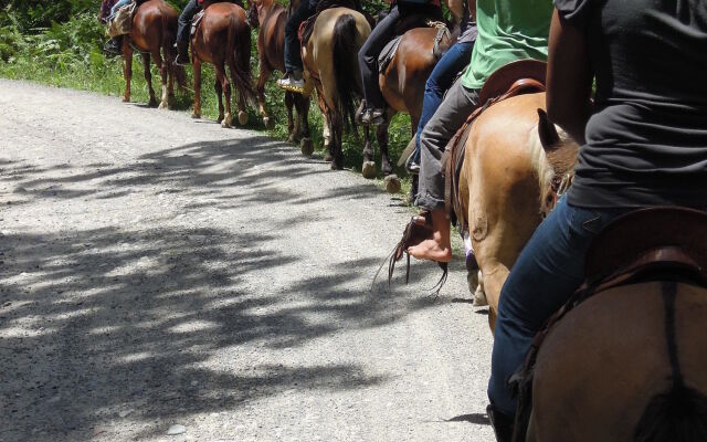 Omega Tours Adventure Company & Eco Jungle Lodge