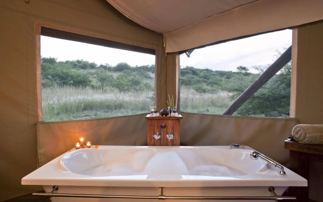 The Springbok Lodge