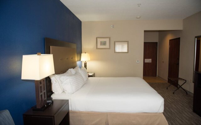 Holiday Inn Express Houston N-1960 Champions Area
