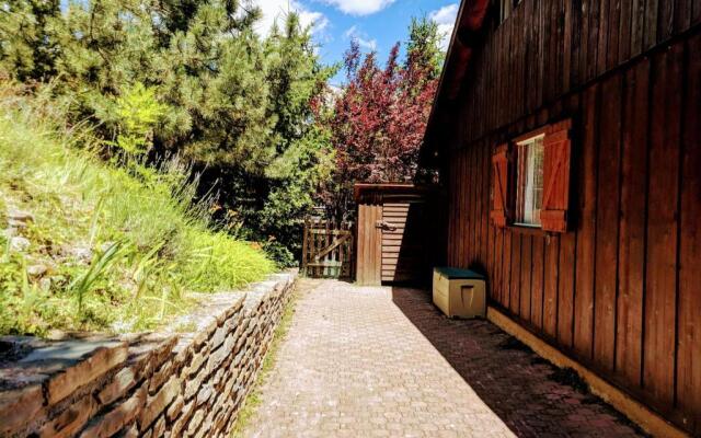 Alpine Chalet La Conchette