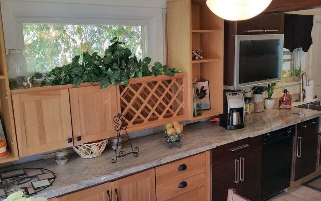 Modern Smarthouse Dual Fuel Range