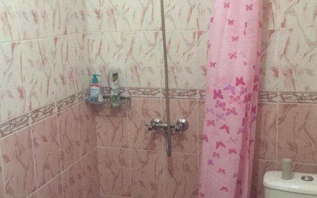 Viktoriya Guest House