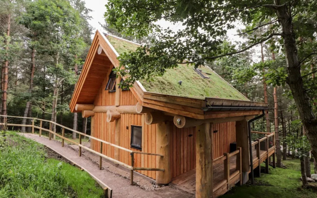 Pine Marten Lodge