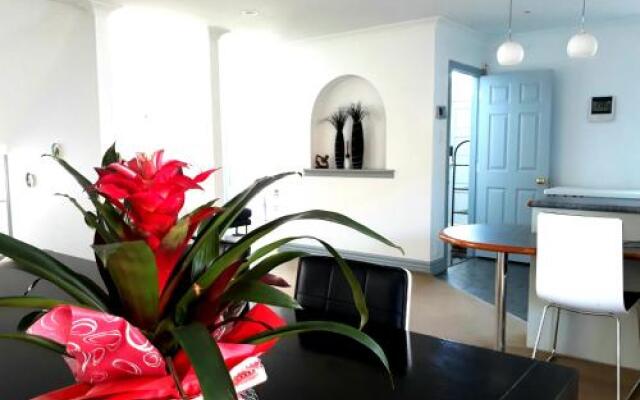 Lush & Co Auckland Bed & Breakfast