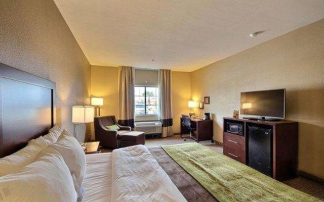 Comfort Inn Edinburg South