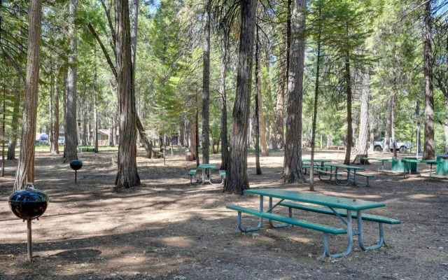 12 Mi to Apple Hill: Family-friendly Cabin Retreat