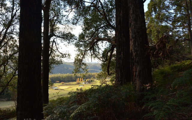 Silver Ridge Retreat